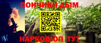 индика Ставрополь
