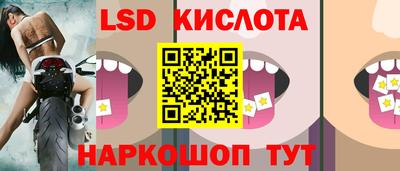 индика Ставрополь