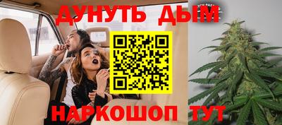 индика Ставрополь