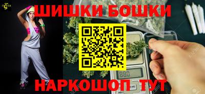 индика Ставрополь