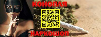 индика Ставрополь