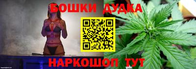 индика Ставрополь