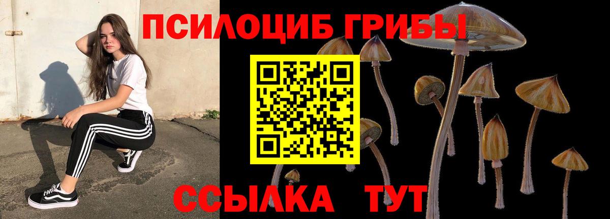 как найти закладки  Псилоцибиновые грибы мухоморы  Вход с VPN  Рыбинск 
